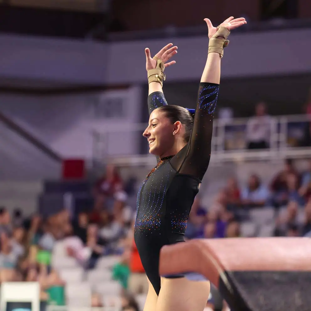 Danie Ferris vault 10.0